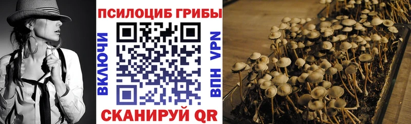 Псилоцибиновые грибы Psilocybine cubensis  Карталы 