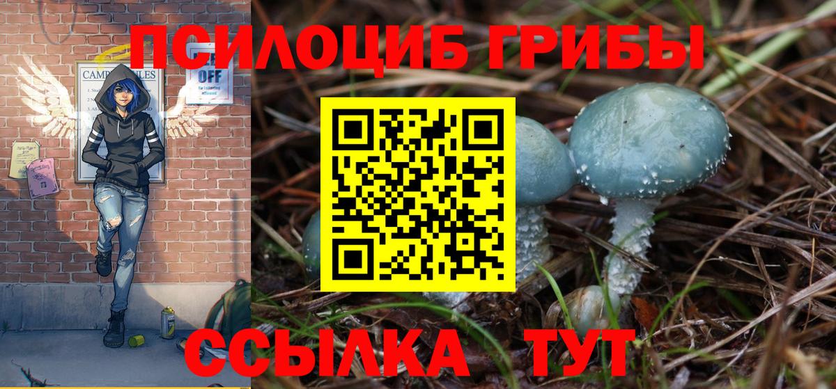 Псилоцибиновые грибы мицелий Карталы