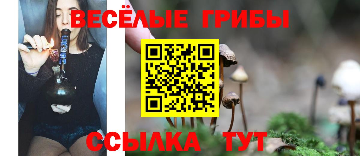 Карталы  Галлюциногенные грибы Psilocybine cubensis  Вход с VPN 